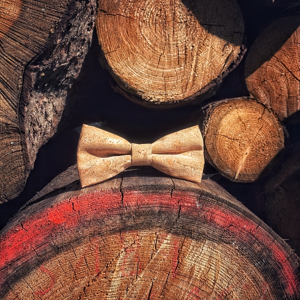 Pánský motýlek Korek Diverse 