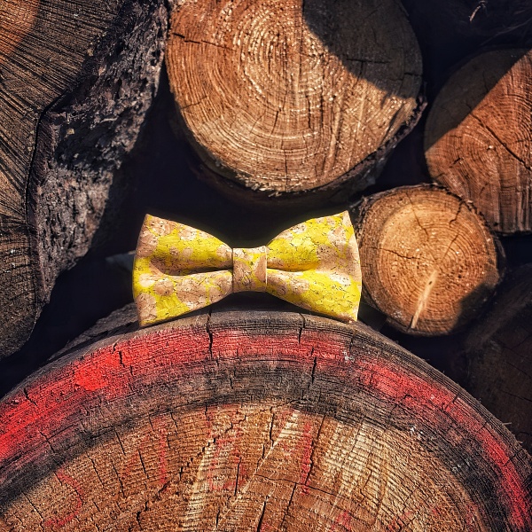 Pánský motýlek Korek Yellow