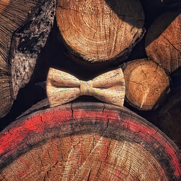 Barevný pánský motýlek Korek Colors