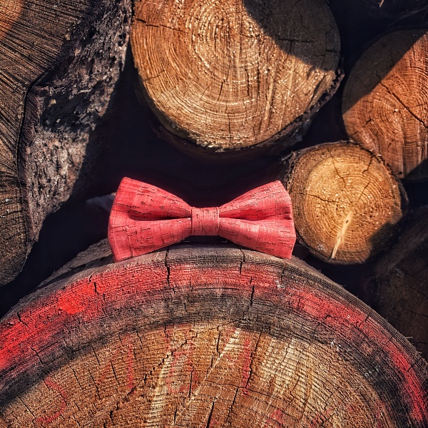 Červený pánský motýlek Korek