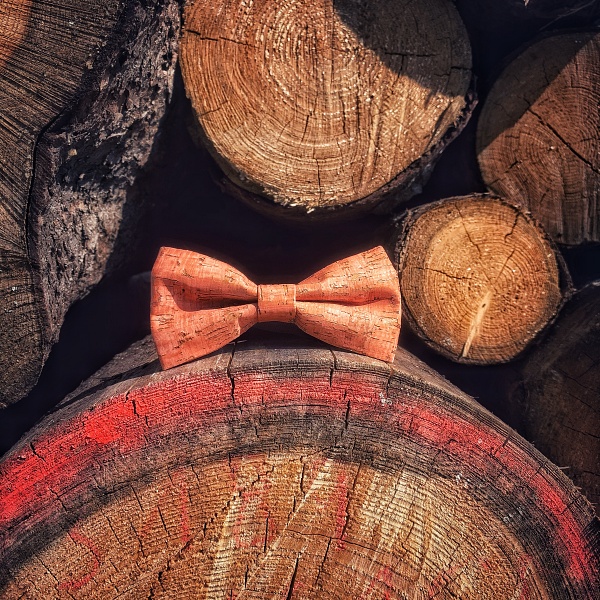 Oranžový pánský motýlek Korek