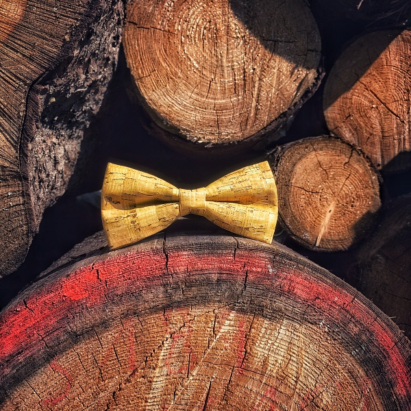 Žlutý pánský motýlek Korek