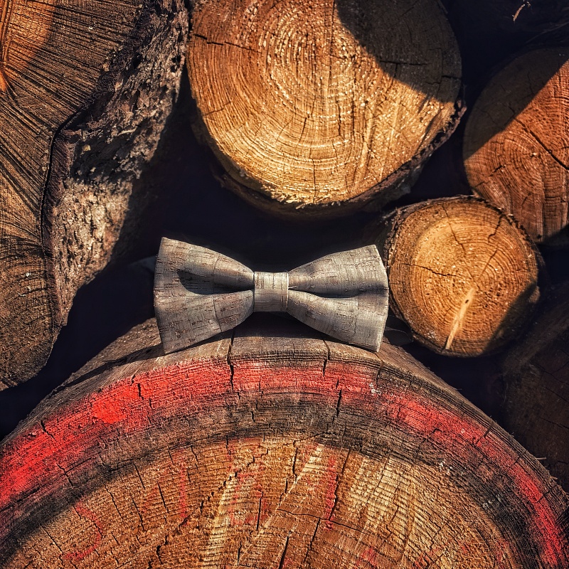 Šedý pánský motýlek Korek