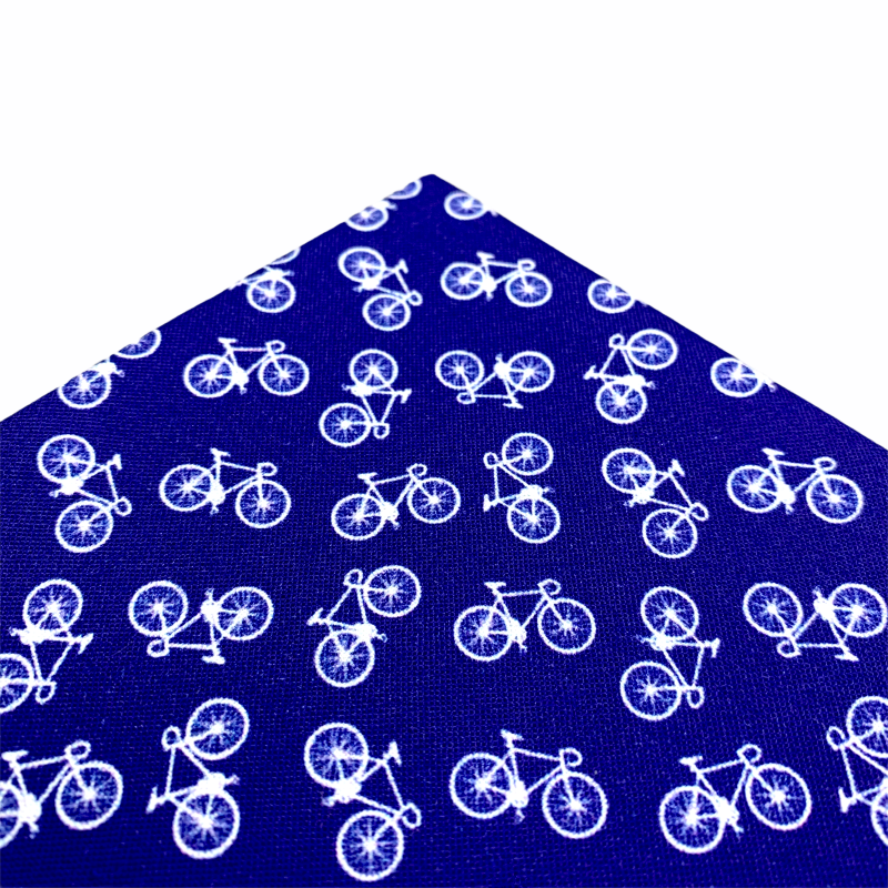 Modro - bílý kapesník do saka Silniční kolo 