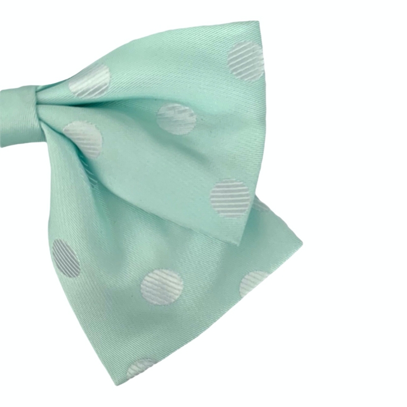 Tyrkysový dámský motýlek Puntík 