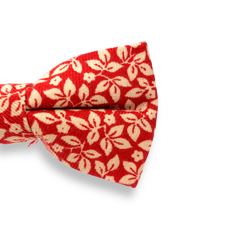 Červený pánský motýlek Listy 