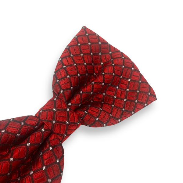 Červený motýlek Bludiště