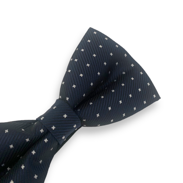 Modrý motýlek Hvězdičky 