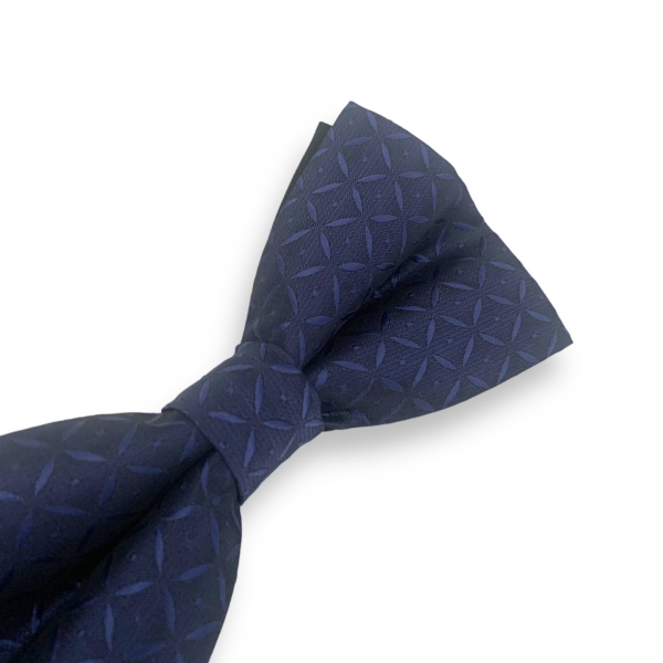 Modrý motýlek Hvězdy