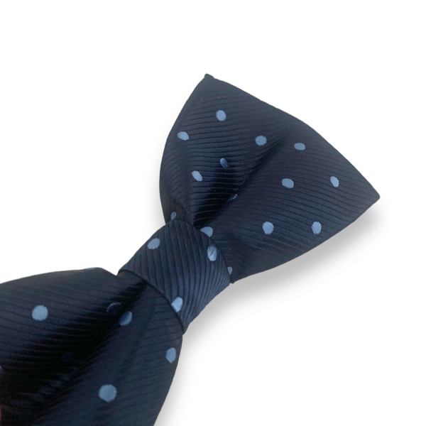 Modrý motýlek Blue dot 