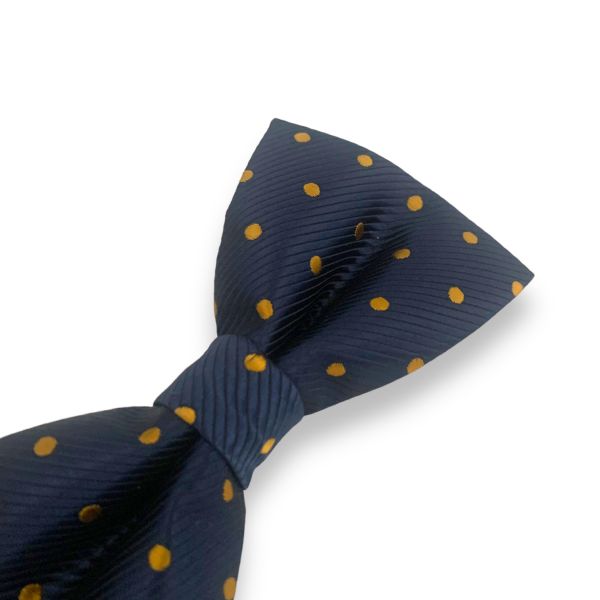 Modrý motýlek Gold dot 