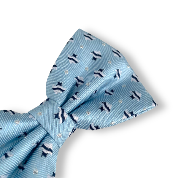 Chlapecký motýlek Tropická ryba 