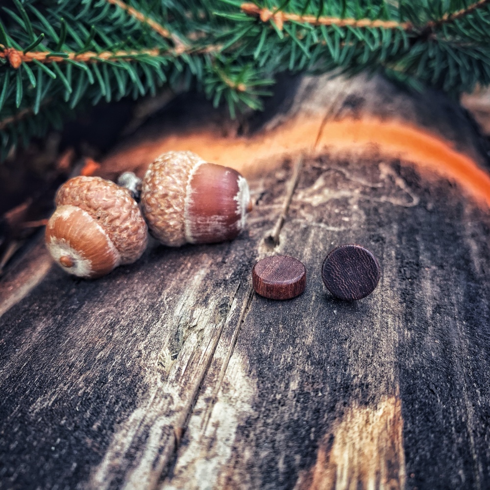 Hnědá náušnice Wood 