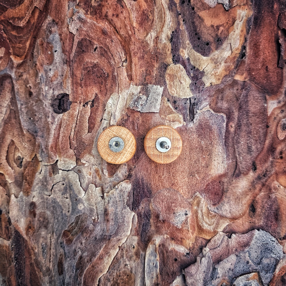 Béžová náušnice Wood 