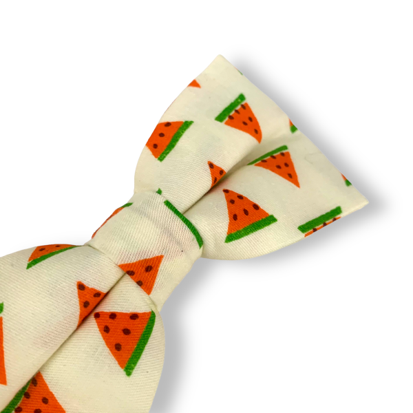 Pánský motýlek Meloun 