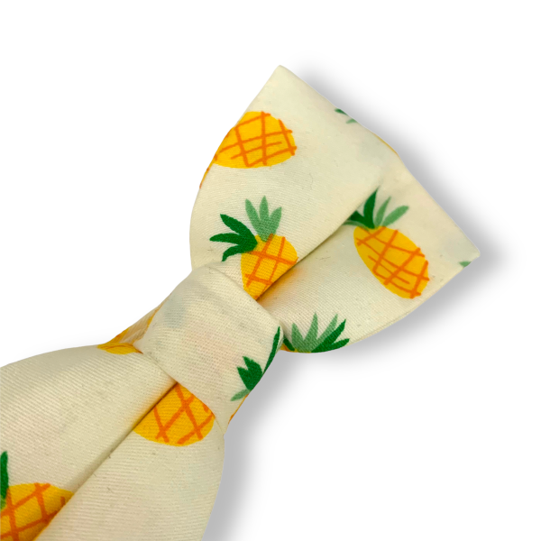 Pánský motýlek Ananas 