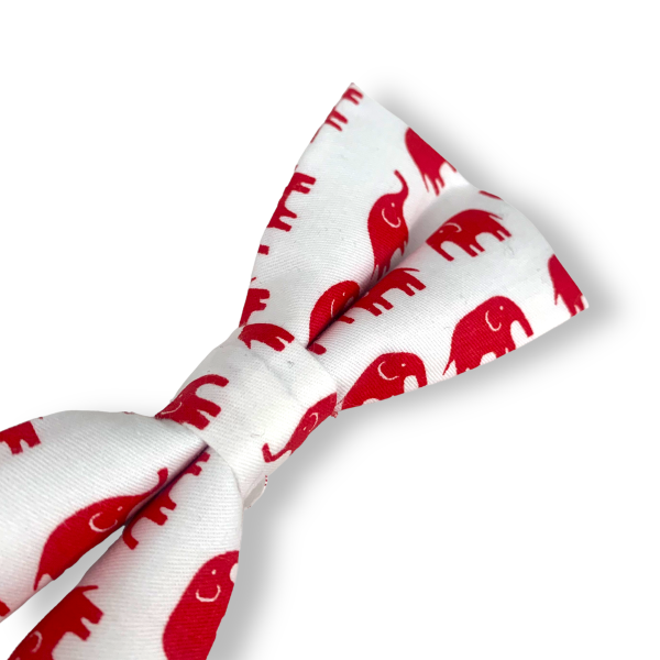 Bílo - červený motýlek Slon 