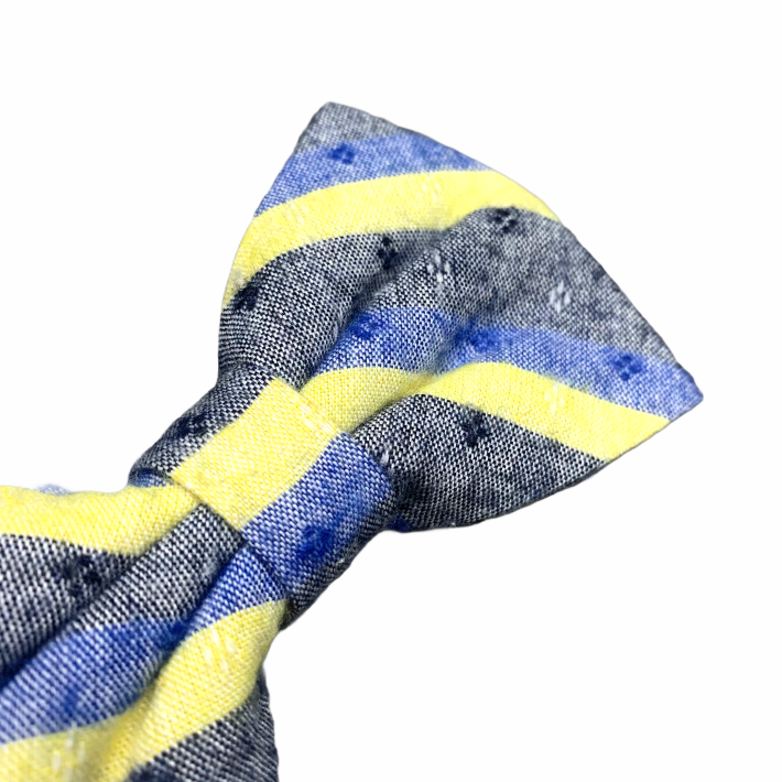 Modro - žlutý motýlek Stripe 