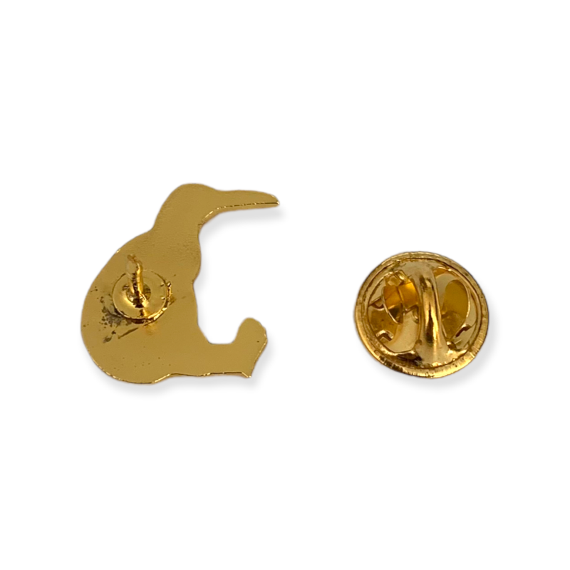 Zlatá brož pták Kiwi 