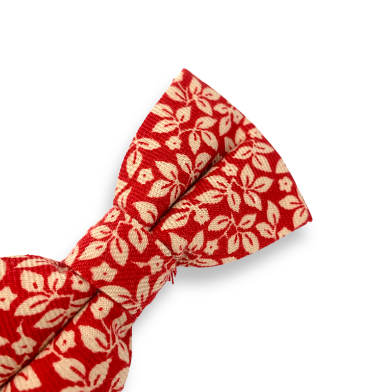 Červený pánský motýlek Listy 