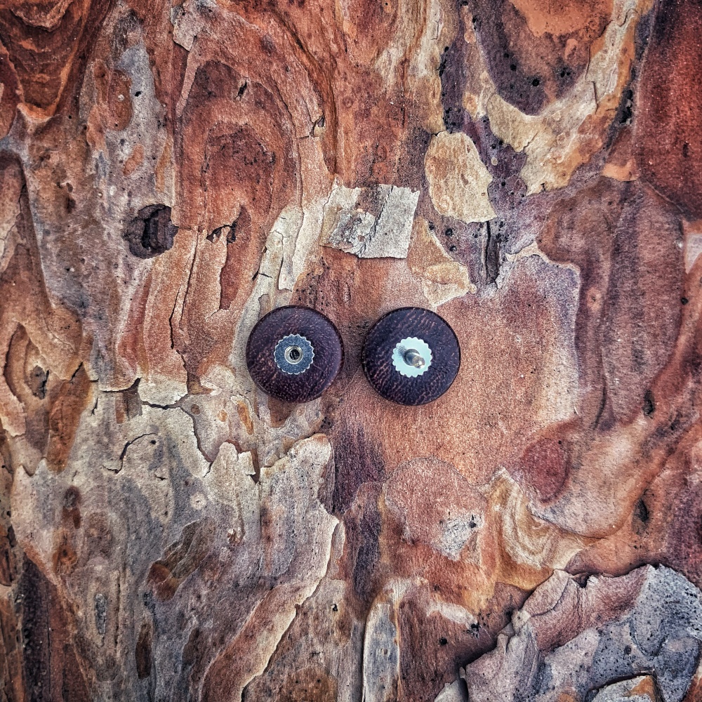Hnědá náušnice Wood 