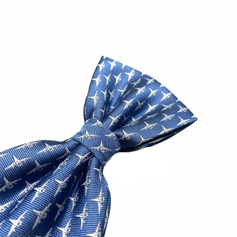 Modrý motýlek Letadla 