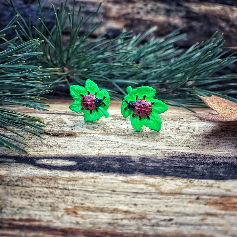 Manžetové knoflíčky Beruška na listu 