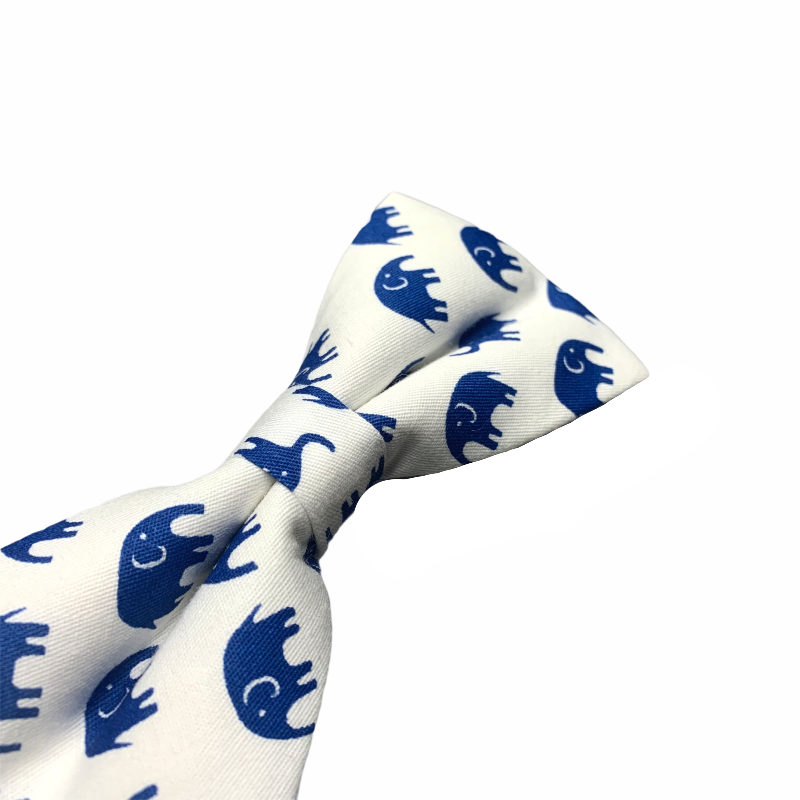 Bílo - modrý motýlek Slon 