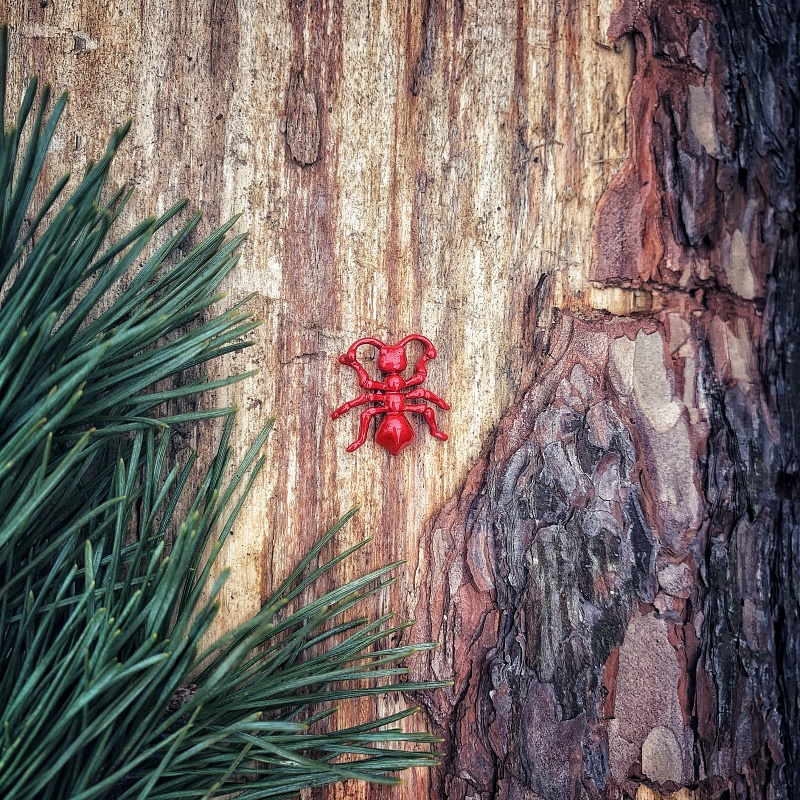 Brož Mravenec červený