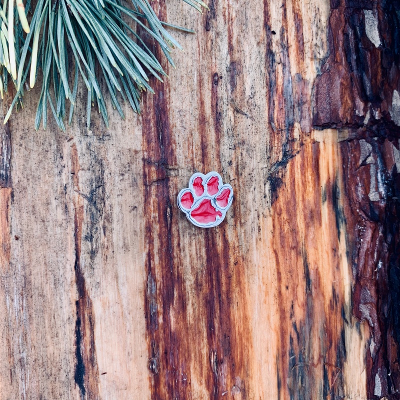 Brož červená Tlapka