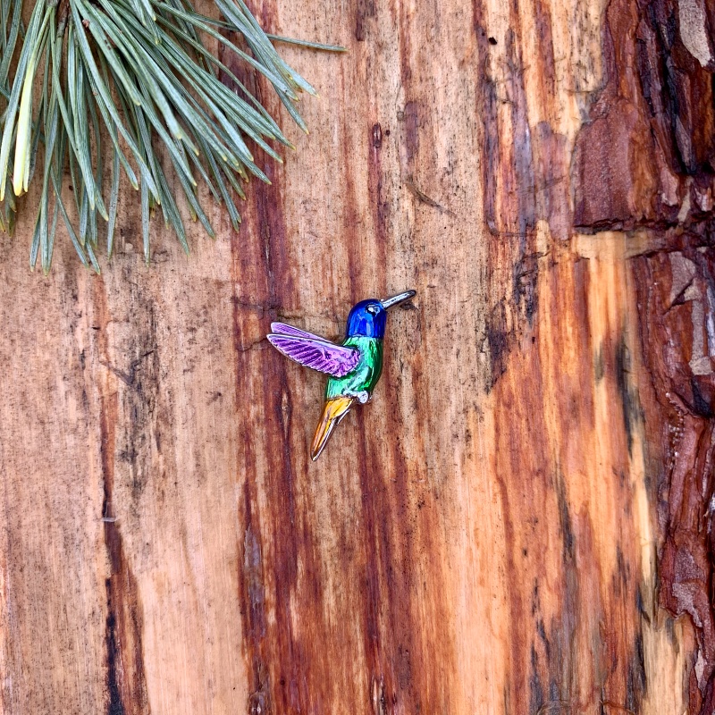 Brož Kolibřík barevný 