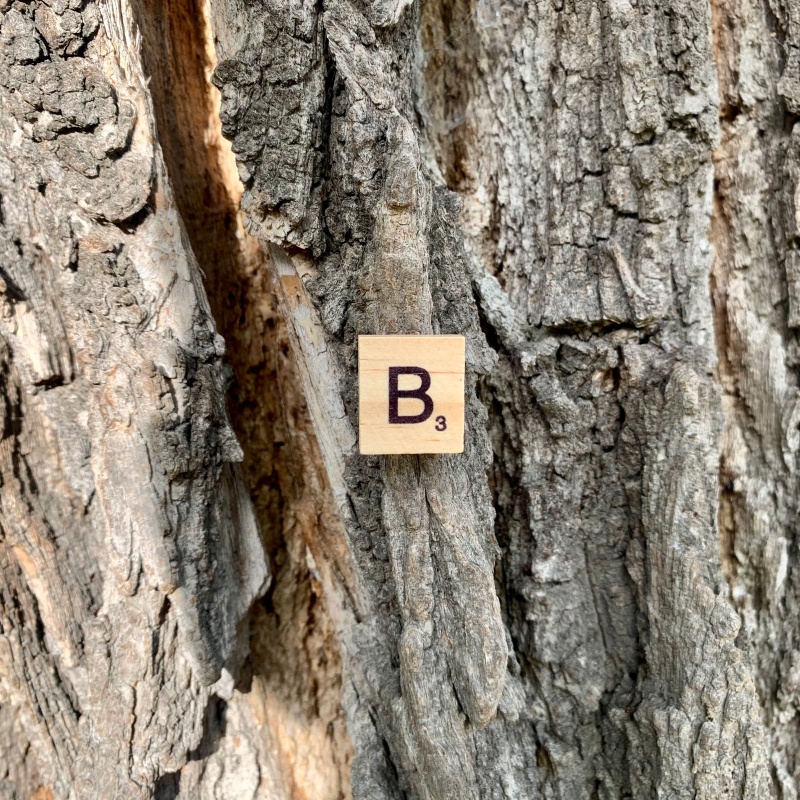 Brož Scrabble písmeno B