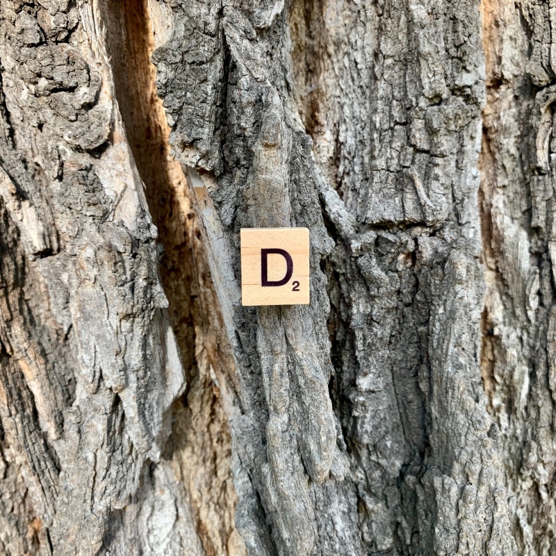 Brož Scrabble písmeno D