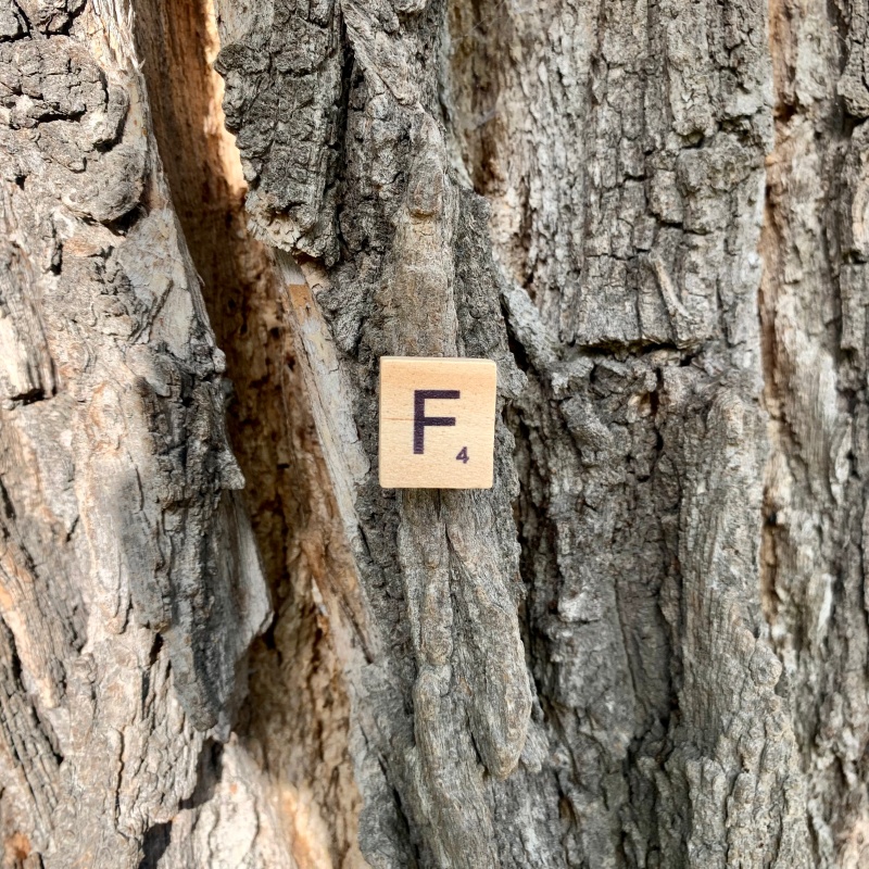 Brož Scrabble písmeno F