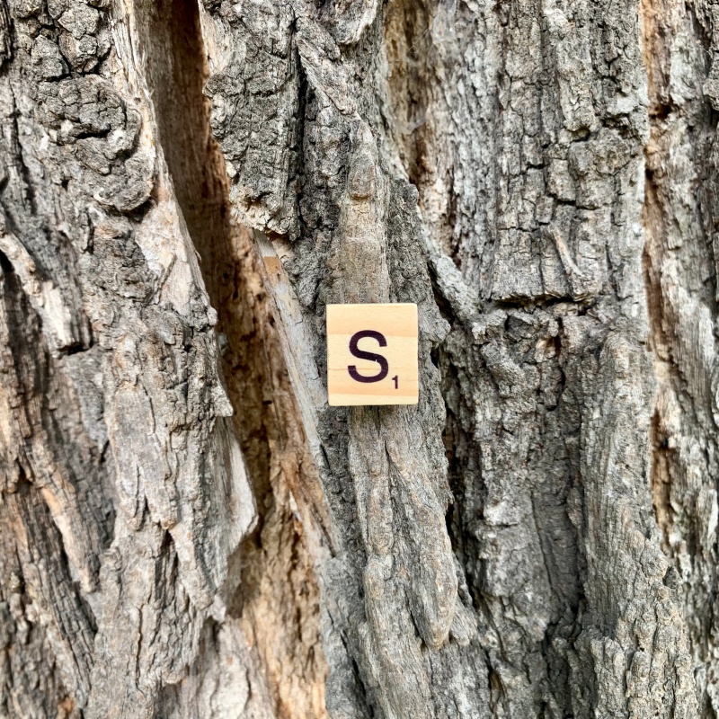 Brož Scrabble písmeno S