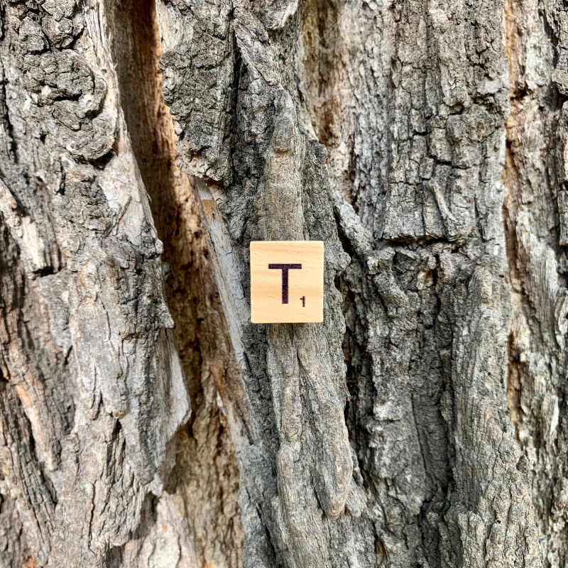 Brož Scrabble písmeno T