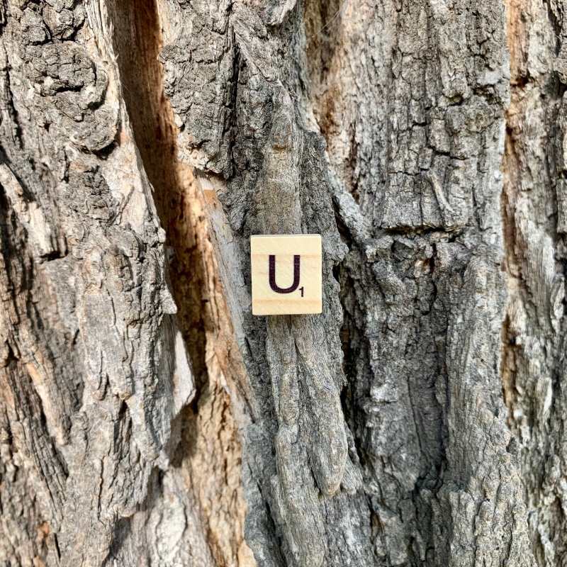 Brož Scrabble písmeno U