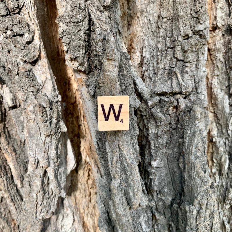 Brož Scrabble písmeno W