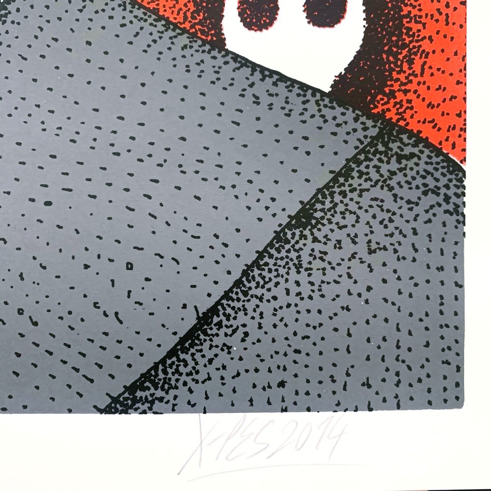 Sítotisk CCTV - Ondřej Vyhnánek (X-DOG)