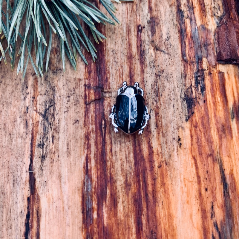 Brož Brouk Skarabeus 