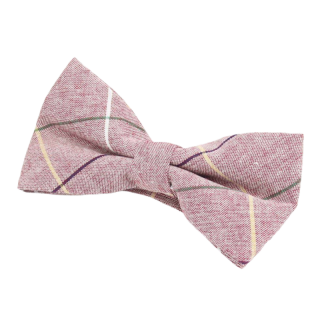 Červený pruhovaný motýlek Cotton 