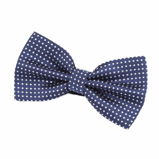 Modro - bílý motýlek Dots