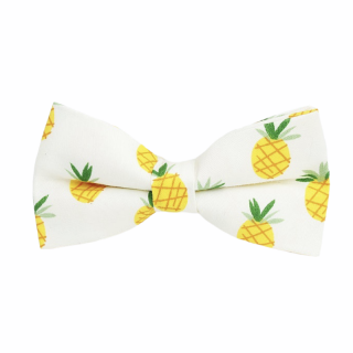 Pánský motýlek Ananas 