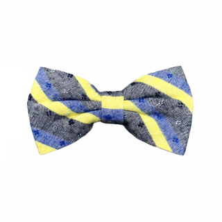 Modro - žlutý motýlek Stripe 