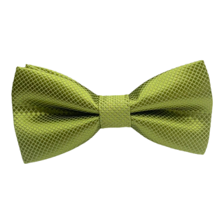 Světle zelený chlapecký motýlek Plaid 