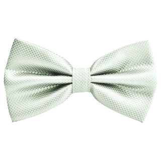Stříbrný motýlek Plaid